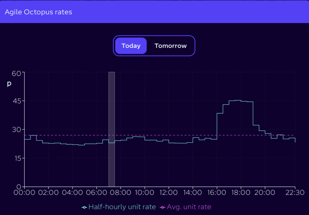 Octopus Agile tariff rate profile showing 30-minute electricity pricing throughout the day